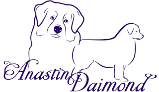 Logo Anastin Daimond