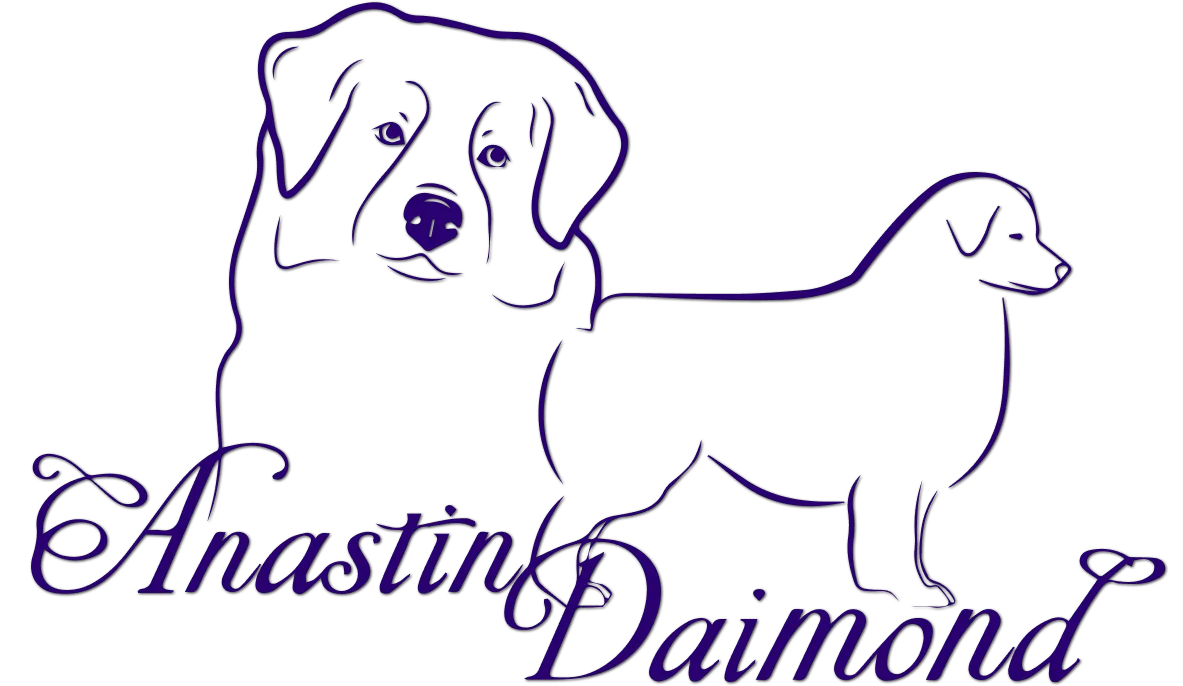 Logo Anastin Daimond
