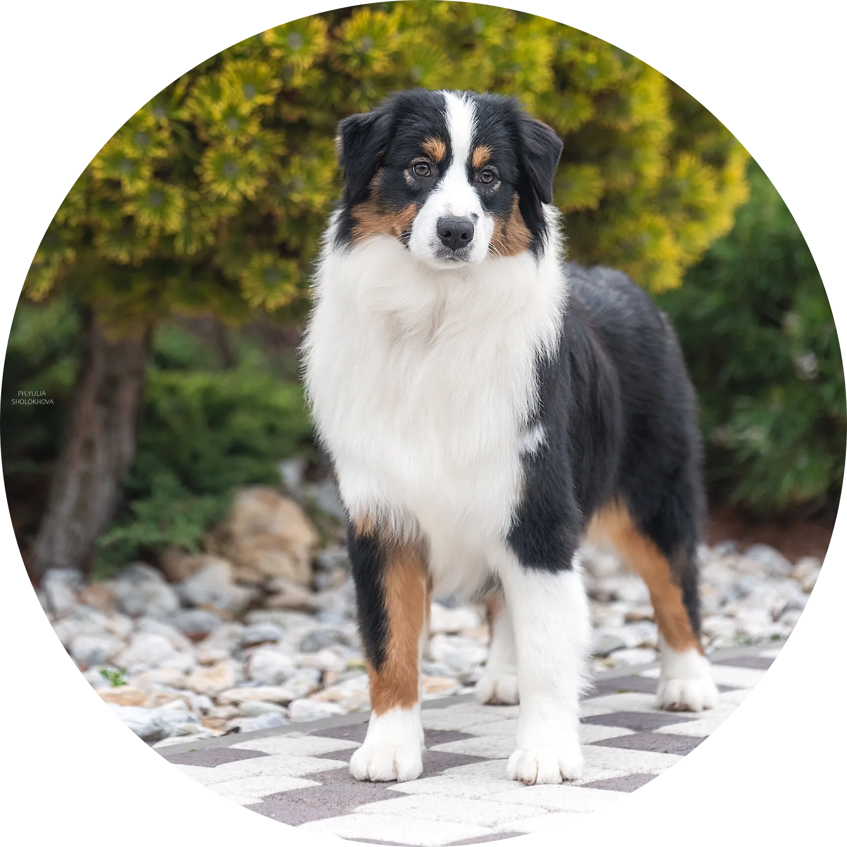 All Night Long Du Chemin De La Belle Etoile  