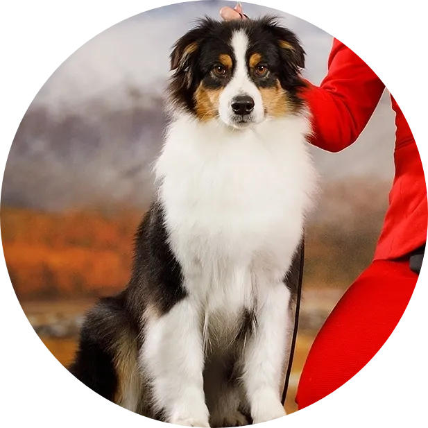 Жемчужина России Яромира