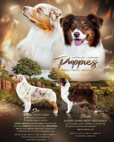 Помет z