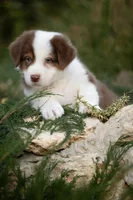 Фото